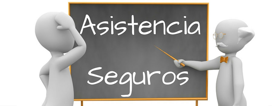 asistencia seguros